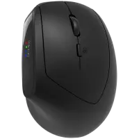 CANYON mouse MW-25 Ergonomic LED AA Dual mode Wireless Black