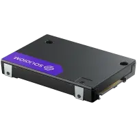 Solidigm D7-PS1010 Series (7.68TB, 2.5in PCIe 5.0 x4, Hynix V7, TLC) Generic Single Pack