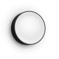 Philips Hue WCA Daylo Outdoor Wall Lantern, Black | 15 W | 2000-6500 Hue White Colour Ambiance – pilt 2