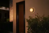 Philips Hue WCA Daylo Outdoor Wall Lantern, Black | 15 W | 2000-6500 Hue White Colour Ambiance – pilt 6