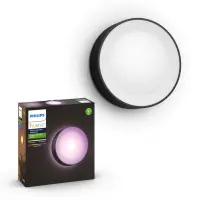 Philips Hue WCA Daylo Outdoor Wall Lantern, Black | 15 W | 2000-6500 Hue White Colour Ambiance – pilt 11
