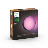 Philips Hue WCA Daylo Outdoor Wall Lantern, Black | 15 W | 2000-6500 Hue White Colour Ambiance – pilt 18