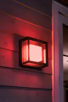 Philips Hue WCA Econic Outdoor Square Wall Lantern | 15 W | 2000-6500 Hue White Colour Ambiance – pilt 9