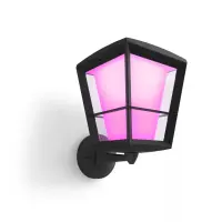 Philips Hue White and colour ambience Õue-seinavalgusti Econic