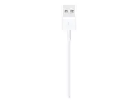Apple Lightning to USB Cable (1m) | Apple