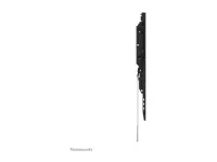 Neomounts Wall mount | WL30-750BL14 Heavy duty wall mount | Adjustable Height | 32-75 " | Maximum weight (capacity) 100 kg | Black – pilt 26