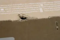 SALE OUT. | LG 65QNED80A3A | 65 | Smart TV | webOS | UHD | DAMAGED PACKAGING – pilt 3