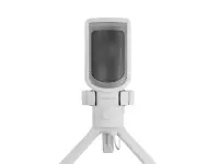 Genesis | Microphone | Radium 250 | Noise reduction – pilt 2