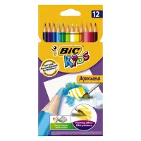 Värvipliiatsid BIC Aquacouleur 12 värvi
