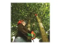BLACK & DECKER | Brushcutter | PS7525 | 800 W | 210-240 V