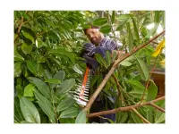 BLACK & DECKER | Hedge trimmer | BEHTS451-QS | 550 W – pilt 8