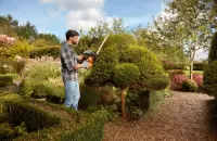 BLACK & DECKER | Hedge trimmer | BEHTS451-QS | 550 W