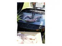 Barbecook Charcoal Barbecue Magnus Premium, 85 x 64 x 110 cm | BC-CHA-1069 | Black – pilt 8