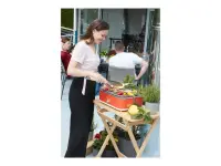 Barbecook BC-ELE-1001 | Electric Grill E-Carlo | Table | 2500 W | Red – pilt 5