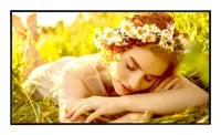 LG 75UL5Q-E infoekraan Digital signage lameekraan 190,5 cm (75") LED WiFi 500 cd/m² 4K Ultra HD Must WebOS 24/7