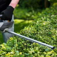 Batavia B.V. 18V Cordless Hedge Trimmer 560mm | Trimmer