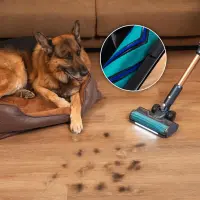 Cecotec Vacuum cleaner | Rockstar RX70 AquaPet Flex Conga | Cordless operating | Stick/handheld | 780 W | Operating time (max) 100 min | Blue/Gold – pilt 7