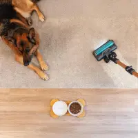 Cecotec Vacuum cleaner | Rockstar RX70 AquaPet Flex Conga | Cordless operating | Stick/handheld | 780 W | Operating time (max) 100 min | Blue/Gold – pilt 9