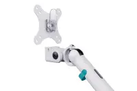 Digitus Desk Mount | Tilt, rotation, pivot | Dual design monitor mount, 2x 35", 2x 10 kg | 35 " | Maximum weight (capacity) 20 kg | White – pilt 3
