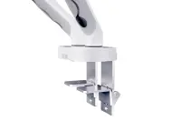 Digitus Desk Mount | Tilt, rotation, pivot | Dual design monitor mount, 2x 35", 2x 10 kg | 35 " | Maximum weight (capacity) 20 kg | White – pilt 9