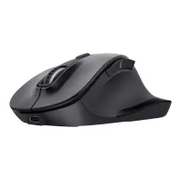 MOUSE USB OPTICAL WRL/FYDA 25708 TRUST