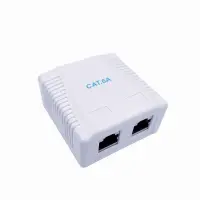 CABLE ACC MOUNT BOX CAT6A FTP/2P NCAC-2F6A-01 GEMBIRD