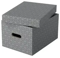 Hoiukast kaanega ESSELTE Home Storage Box Medium (265x205x365mm) 3tk pakis
