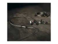 Sennheiser | High End Headphones | IE 900 – pilt 3
