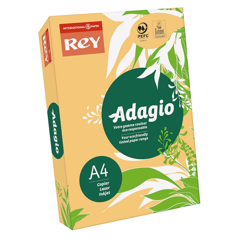 Värvipaber REY ADAGIO A4, 80g/m2, 500 lehte, seemispruun (nr.98)