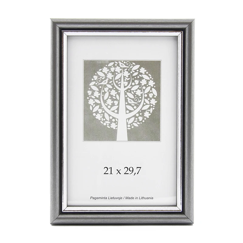 Pildiraam SAVEX  21x29,7cm plast, hõbe