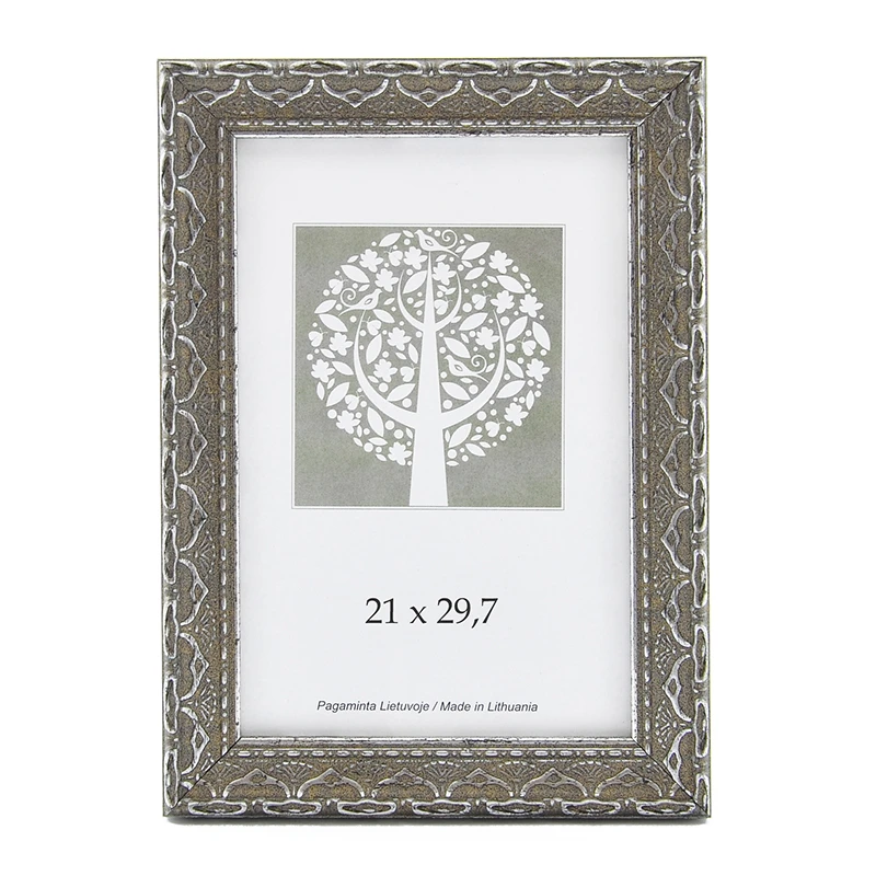 Pildiraam SAVEX 21x29,7cm, plast, hall ornamendiga