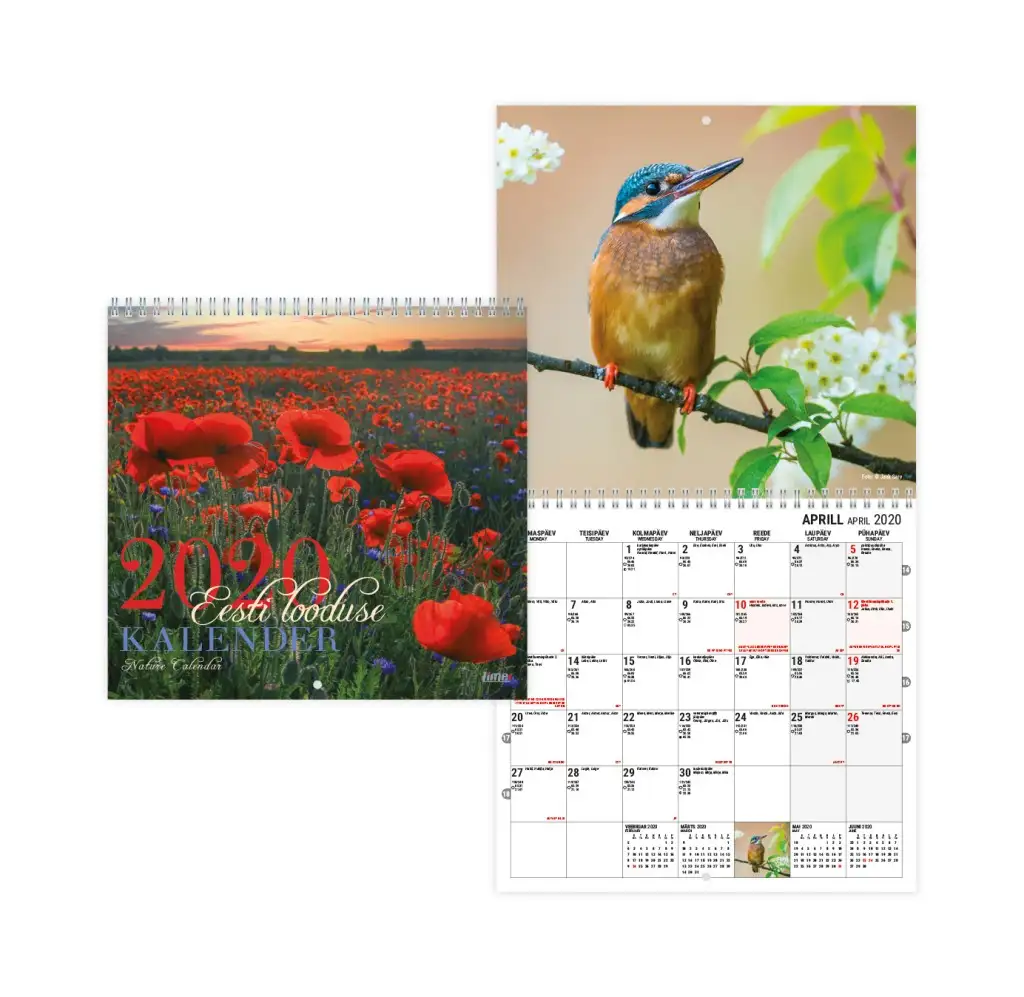 2911417000, Seinakalender Eesti Looduse kalender ruut