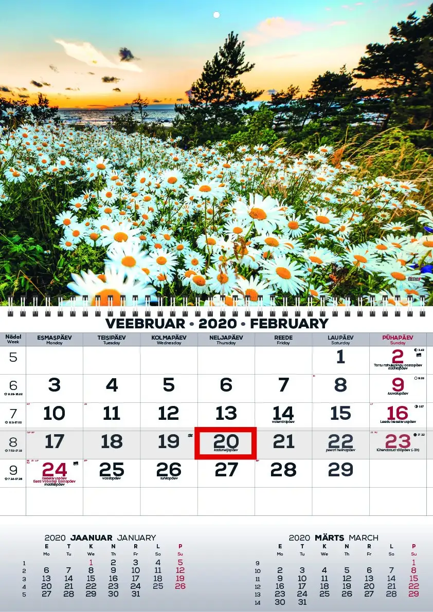 2911050004, Seinakalender Mono pilt 4