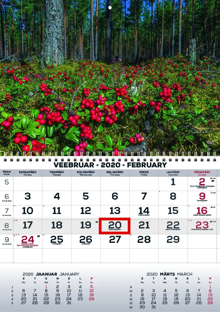 2911050016, Seinakalender Mono pilt 16