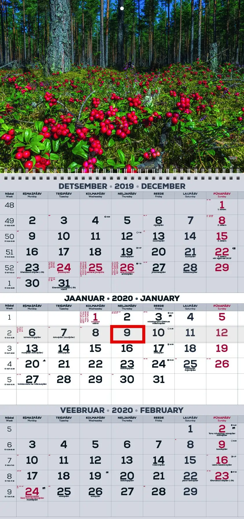 2911200016, Seinakalender Trio  pilt 16