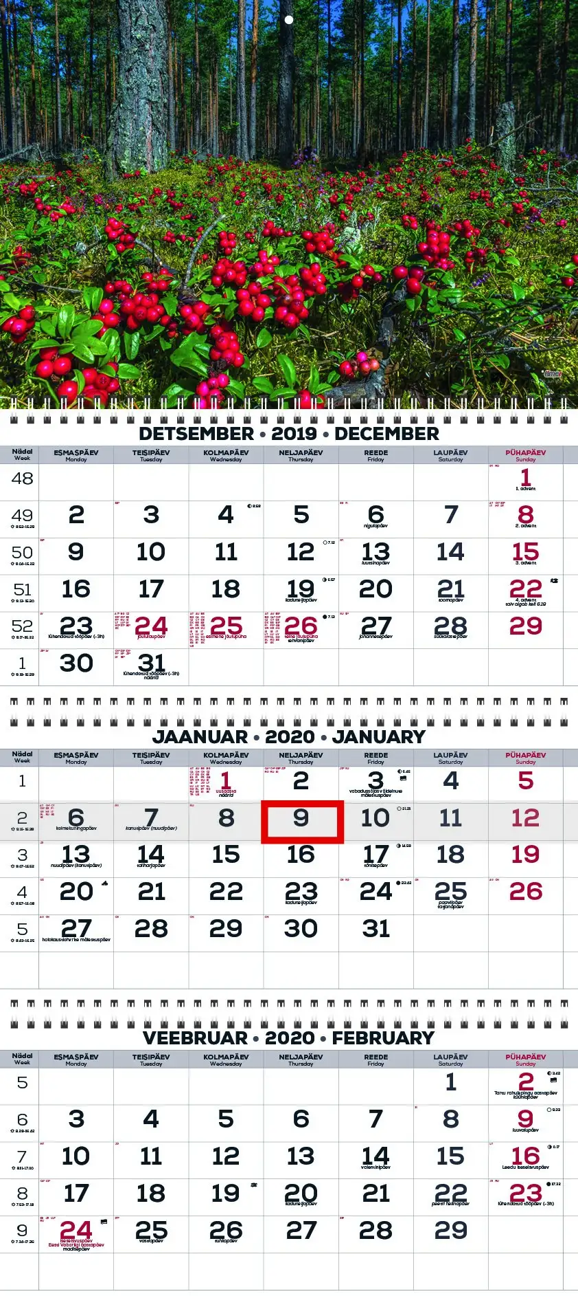 2911210016, Seinakalender Trio Extra pilt 16