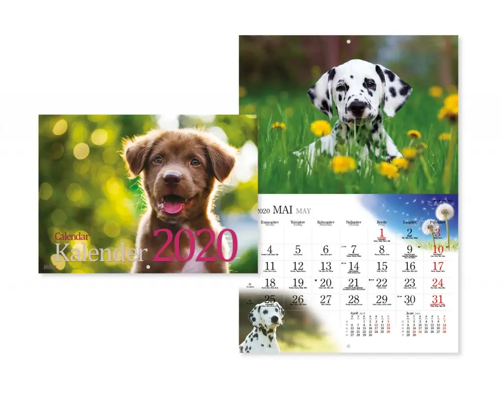 2911601000, Seinakalender Koerakalender