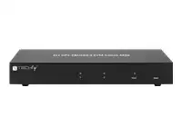 TECHLY 101928 Techly 2-port DisplayPort/