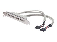 ASSMANN USB Slot Bracket cable 4x type
