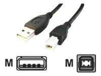 GEMBIRD CCP-USB2-AMBM-10 USB 2.0