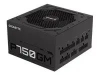 GIGABYTE GP-P750GM 750W ATX 12V v2.31