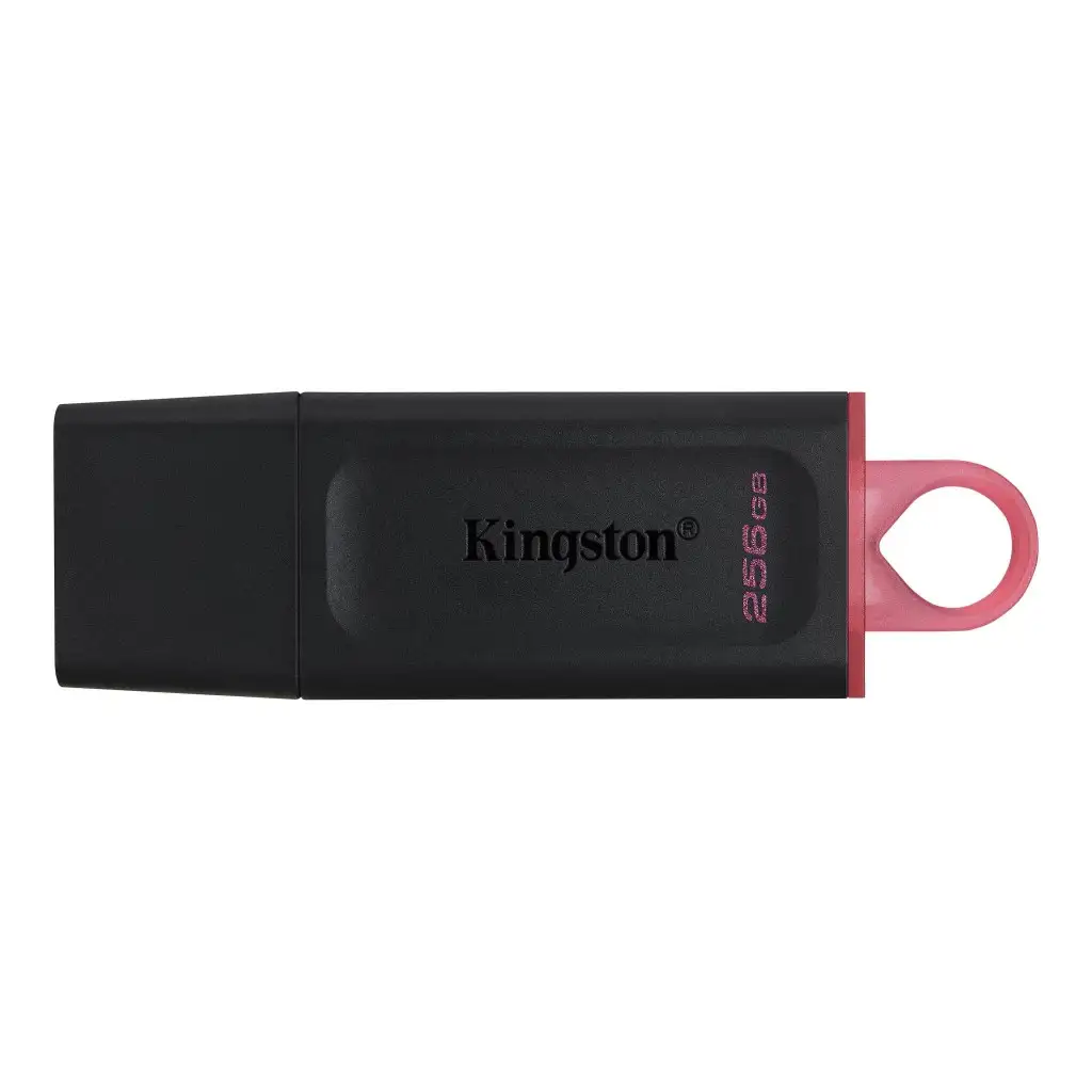 KINGSTON 256GB USB3.2 Gen1 DT Bk+Pink
