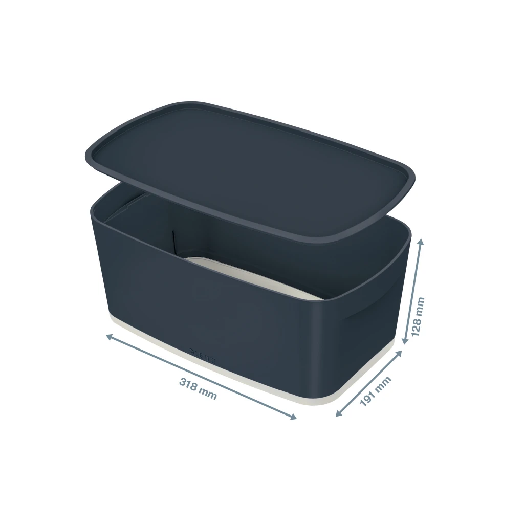 Hoiukast kaanega Leitz MyBox S-suurus, 318x128x191 mm, hall