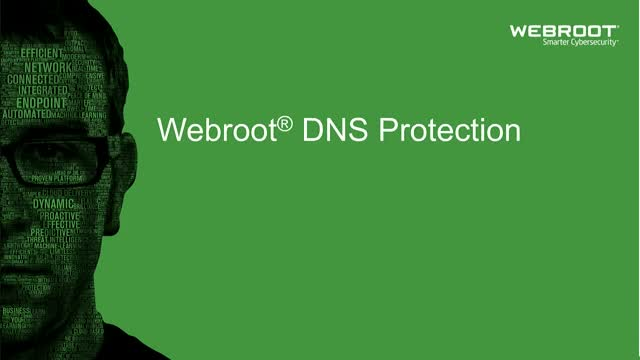 Webroot DNS Protection with GSM Console 1 year(s) License quantity 1-9 user(s)