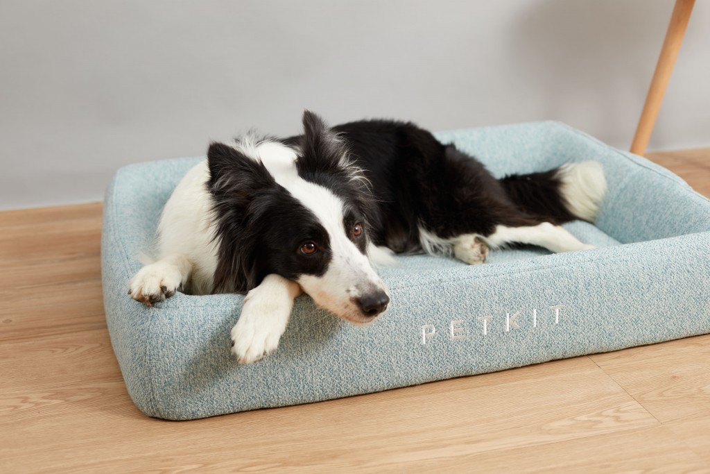 PETKIT | Deep Sleep All Season Pet Bed L | Green