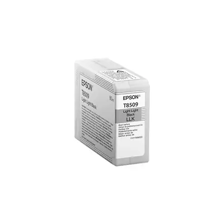 Epson T850900 tindikassett 1 tk Originaal Hele-helemust