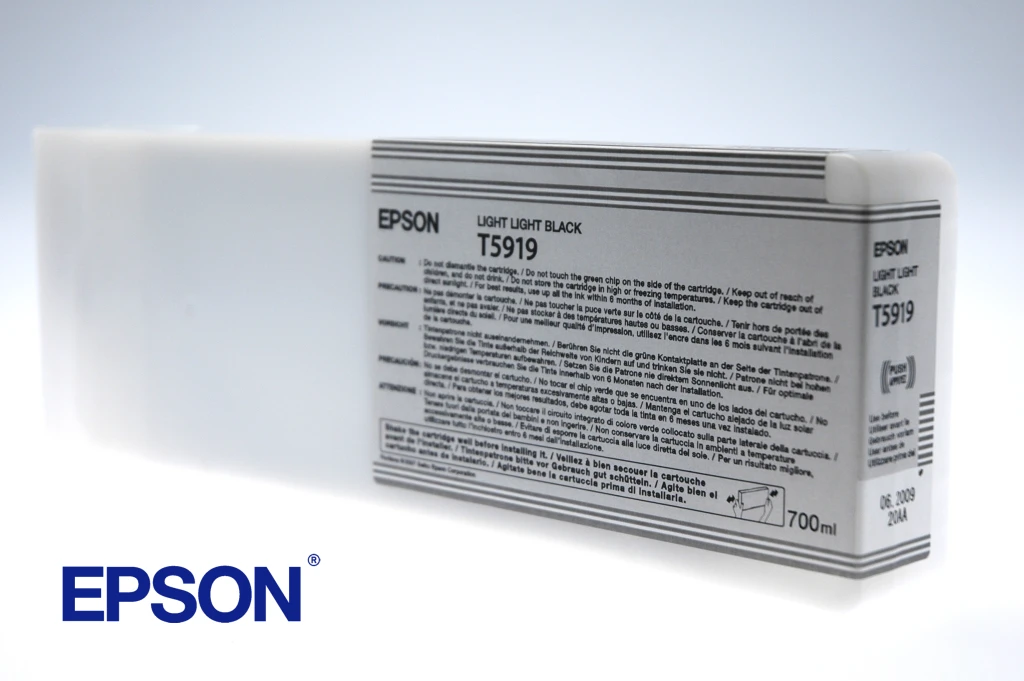 Epson Tindikassett Light Light Black T591900