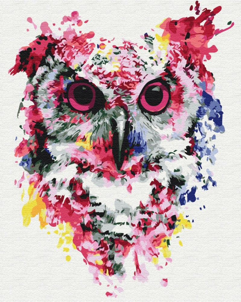 Picture Paint it! Painting by numbers Owl