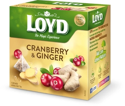 Tee LOYD jõhvika- ja ingverimaitseline 20 x 2g