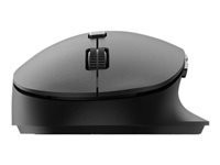 PHILIPS SPK7607B Wireless Mouse BT